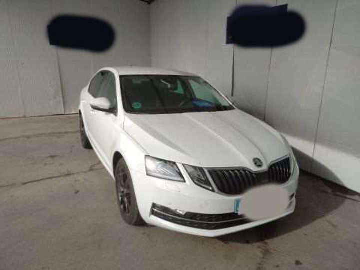 SKODA OCTAVIA 2019 tmbaj9ne9k0253301