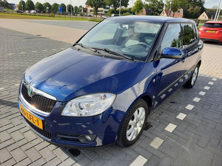 SKODA FABIA 2010 tmbbc25jxa3176339