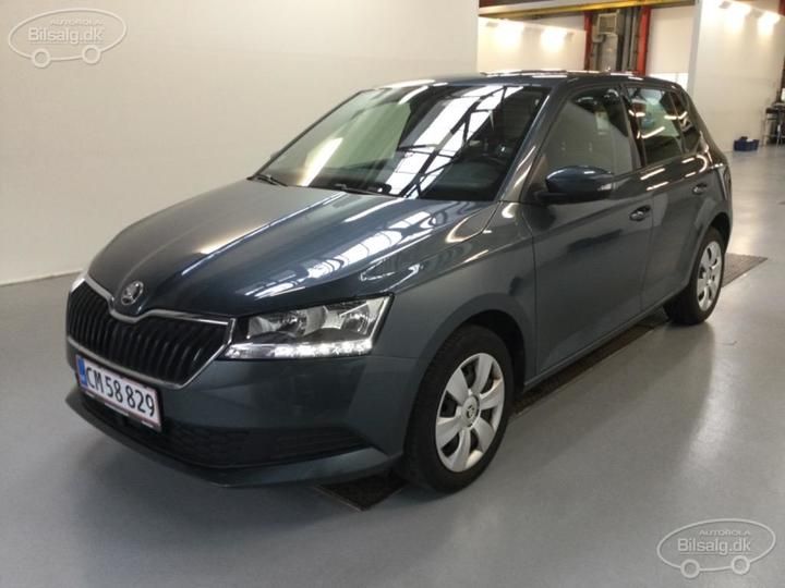 SKODA FABIA 2019 tmbea6nj8lz014767