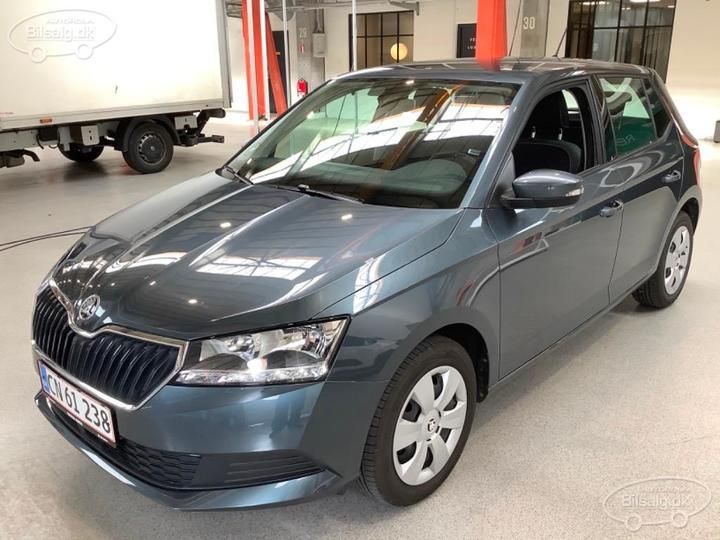 SKODA FABIA 2019 tmbea6nj9lz052220