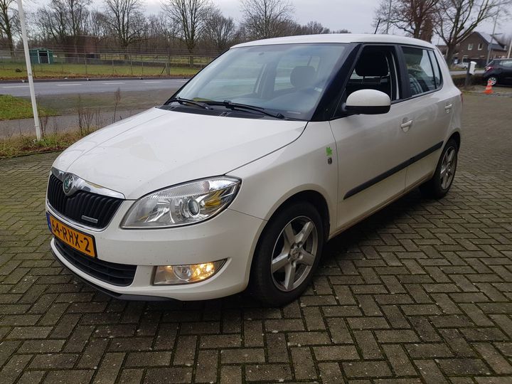 SKODA FABIA 2011 tmbek25j0b3209933