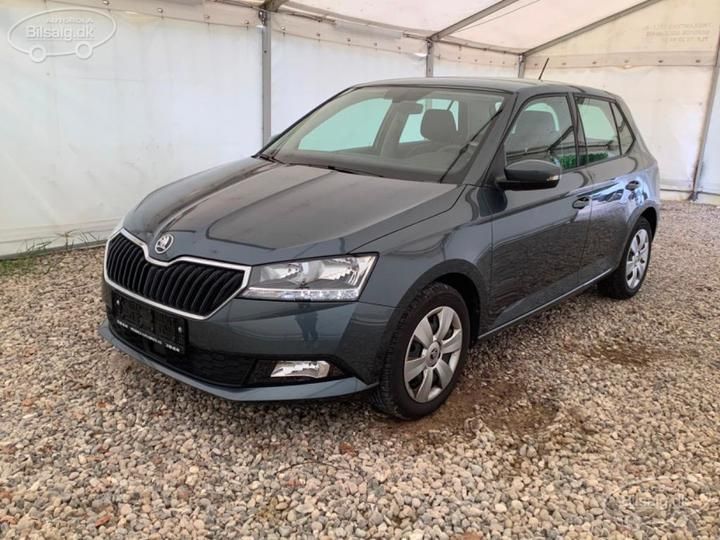 SKODA FABIA 2019 tmbep6nj1lz042120