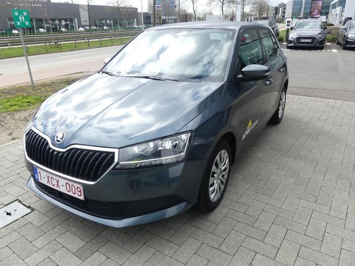 SKODA FABIA 2019 tmbep6nj4lz048221