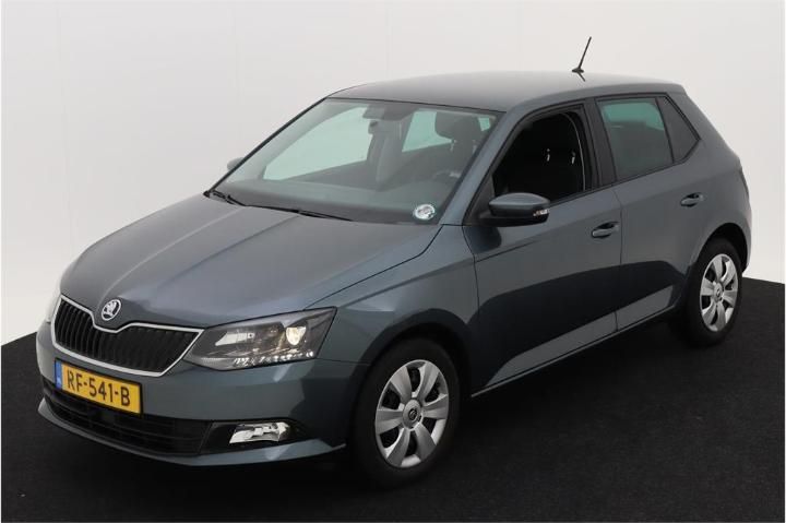 SKODA FABIA 2018 tmbep6nj5jz062223