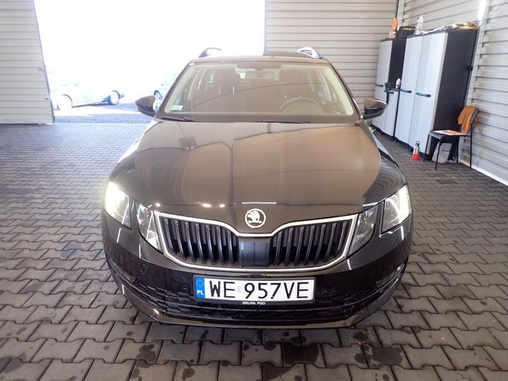 SKODA OCTAVIA 2019 tmbjg7ne0k0012875