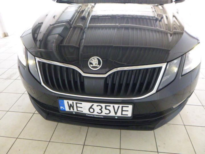 SKODA OCTAVIA 2019 tmbjg7ne0k0015677