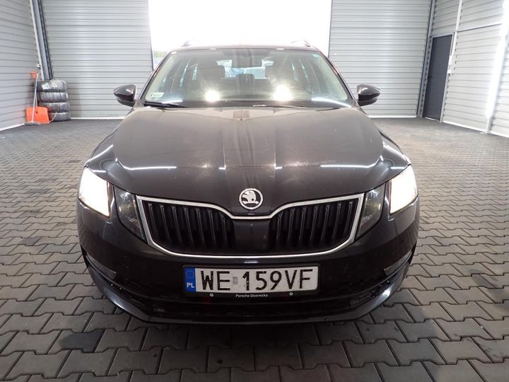 SKODA OCTAVIA 2019 tmbjg7ne0k0045701