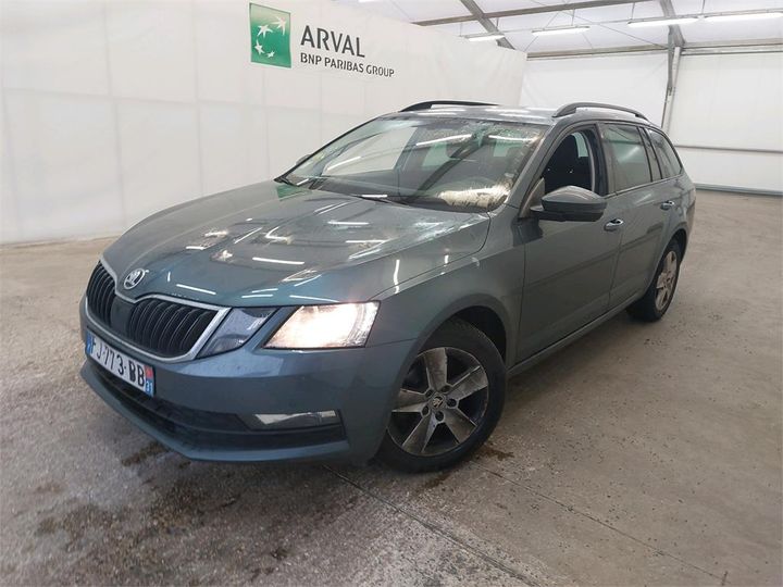 SKODA OCTAVIA 2019 tmbjg7ne1k0254591