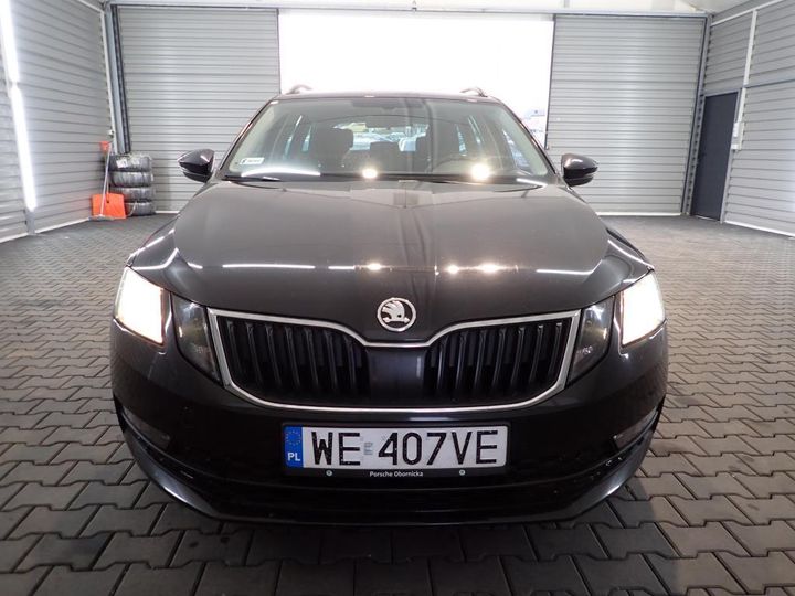 SKODA OCTAVIA 2019 tmbjg7ne2k0019360