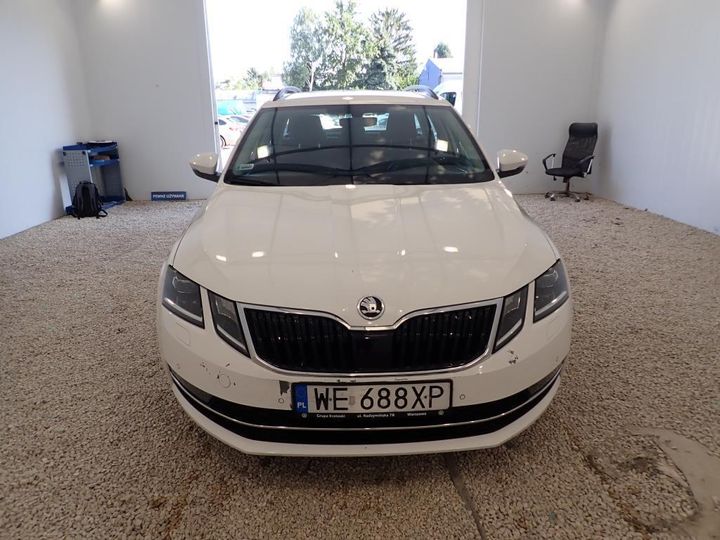 SKODA OCTAVIA 2019 tmbjg7ne3l0057410