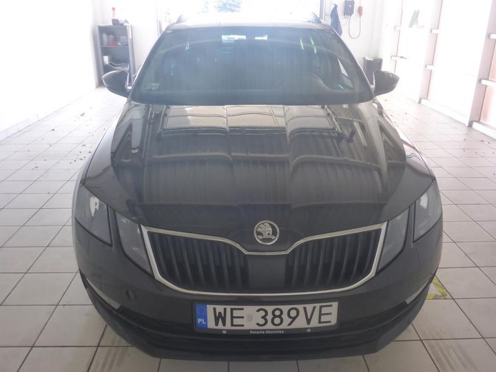 SKODA OCTAVIA 2019 tmbjg7ne4k0019456