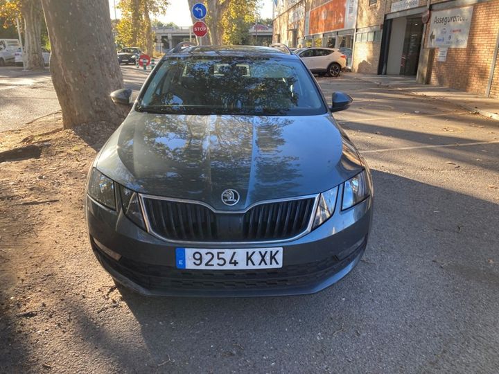 SKODA OCTAVIA 2019 tmbjg7ne4k0141427