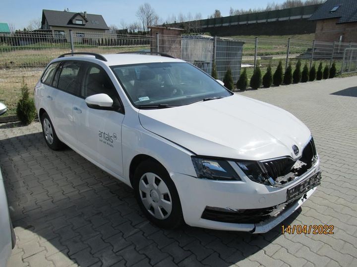 SKODA OCTAVIA 2019 tmbjg7ne4k0238496