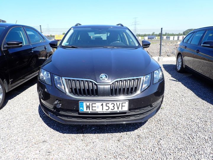 SKODA OCTAVIA 2019 tmbjg7ne5k0011950