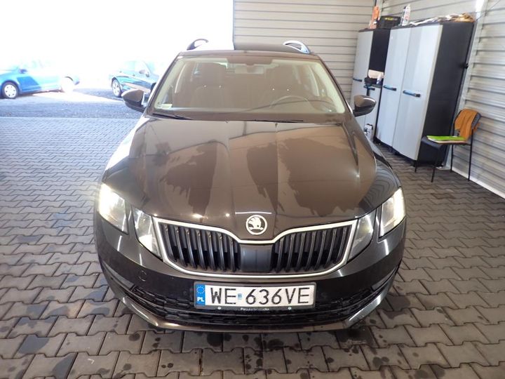 SKODA OCTAVIA 2019 tmbjg7ne5k0015805