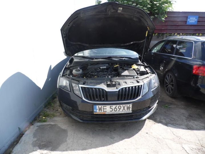 SKODA OCTAVIA 2019 tmbjg7ne5l0087959