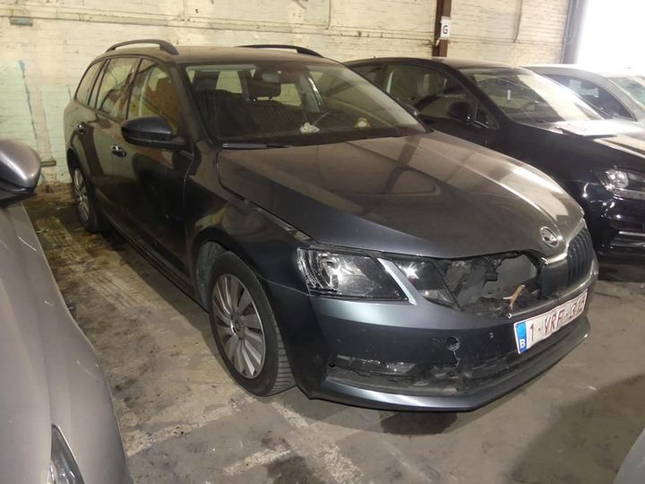 SKODA OCTAVIA 2019 tmbjg7ne6k0127335