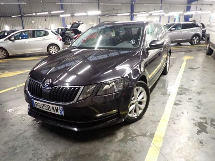 SKODA OCTAVIA 2019 tmbjg7ne6k0216452