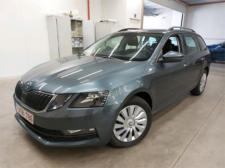 SKODA OCTAVIA 2019 tmbjg7ne6k0248916