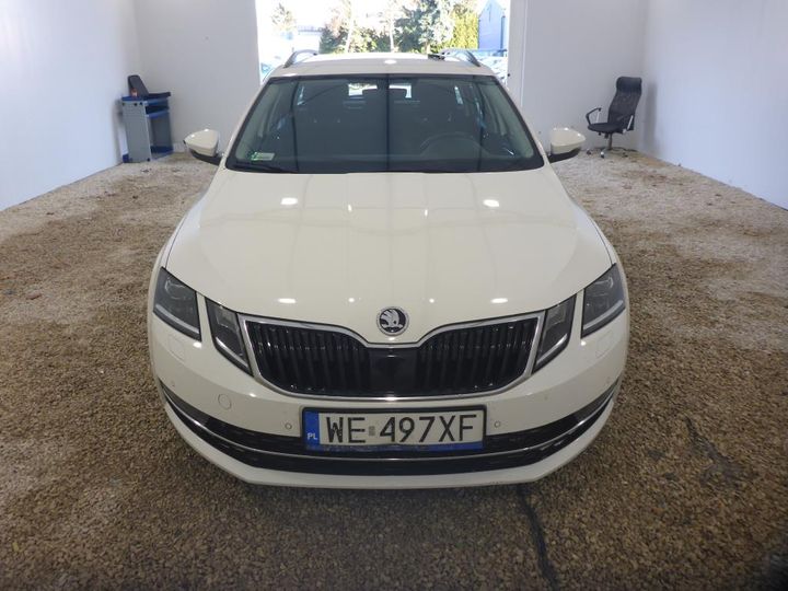 SKODA OCTAVIA 2019 tmbjg7ne6l0030041