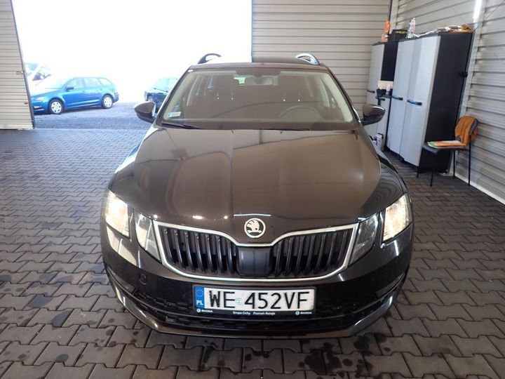 SKODA OCTAVIA 2019 tmbjg7ne7k0020696