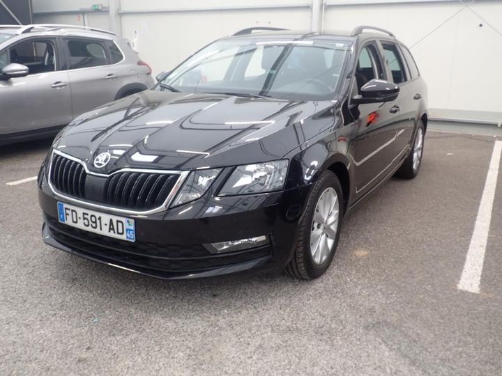 SKODA OCTAVIA 2019 tmbjg7ne7k0105490