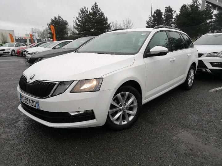 SKODA OCTAVIA 2019 tmbjg7ne8k0039550