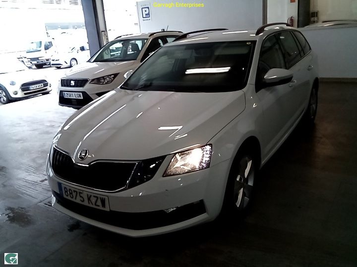 SKODA OCTAVIA 2019 tmbjg7ne8k0252742