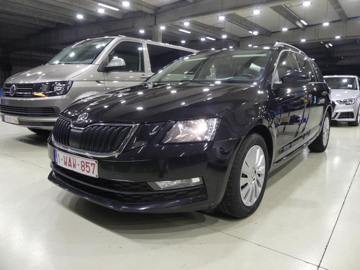 SKODA OCTAVIA 2019 tmbjg7ne9k0146400