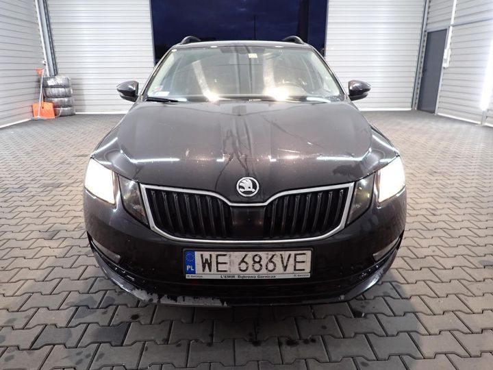 SKODA OCTAVIA 2019 tmbjg7nexk0014844