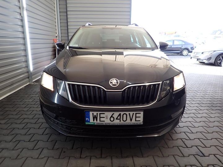 SKODA OCTAVIA 2019 tmbjg7nexk0041252