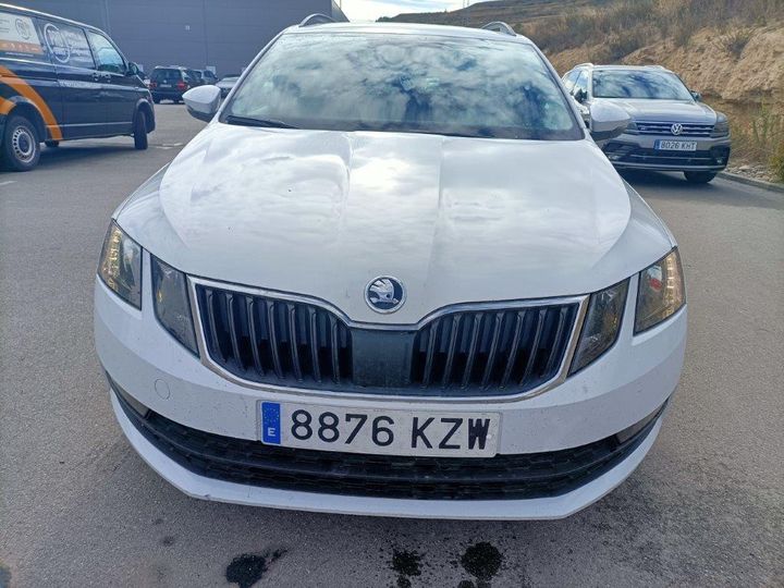 SKODA OCTAVIA 2019 tmbjg7nexk0252791