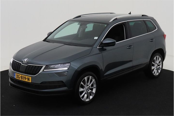 SKODA KAROQ 2019 tmbjg7nu0kj007225