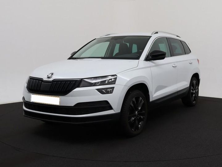 SKODA KAROQ 2019 tmbjg7nu1k5036791