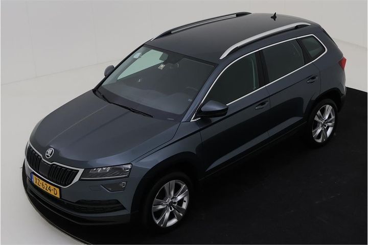 SKODA KAROQ 2019 tmbjg7nuxkj011377