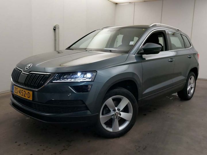 SKODA KAROQ 2019 tmbjg7nuxlj006097