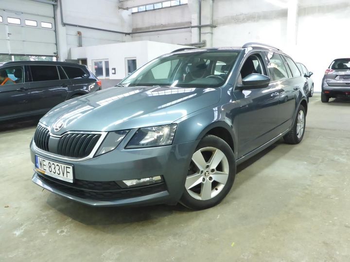 SKODA OCTAVIA 2019 tmbjg9ne8k0108166