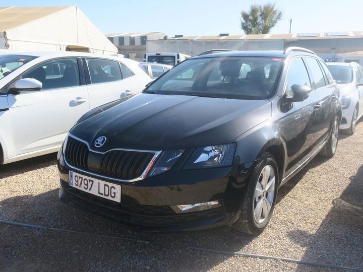 SKODA OCTAVIA 2019 tmbjg9nexl0084325