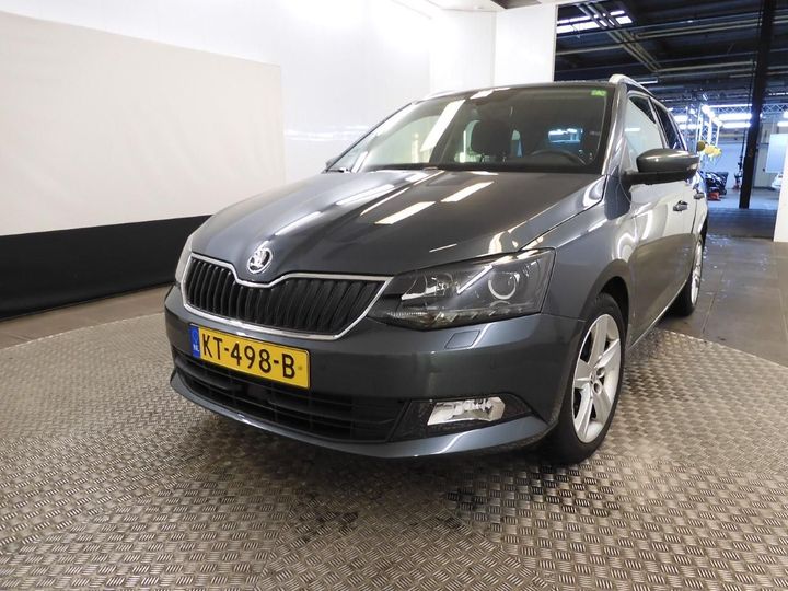 SKODA FABIA 2016 tmbjj6nj8hz081424