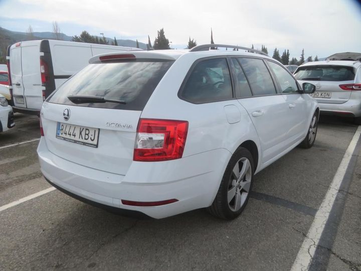 SKODA OCTAVIA 2017 tmbjj7ne1j0088332