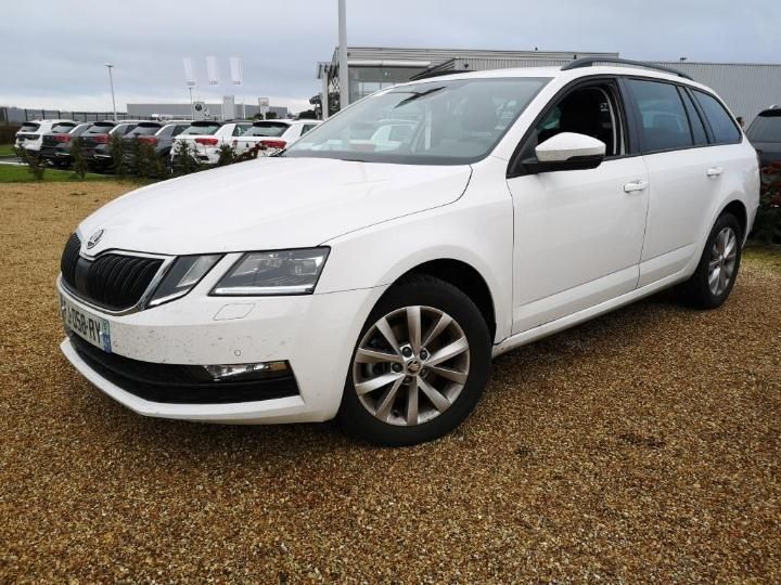 SKODA OCTAVIA 2019 tmbjj7ne4l0012798