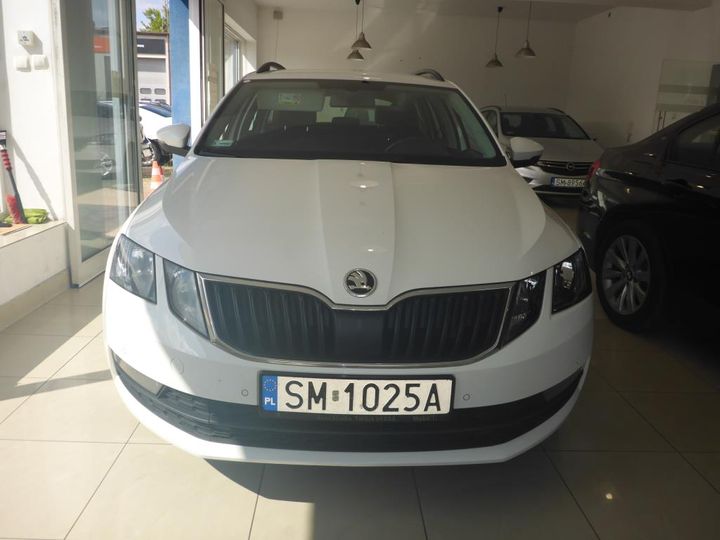 SKODA OCTAVIA 2019 tmbjj7ne8k0159057