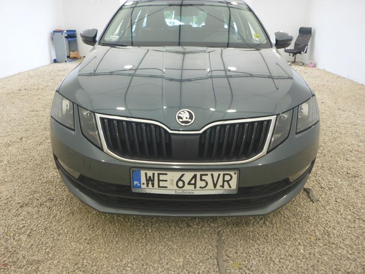 SKODA OCTAVIA 2019 tmbjj7ne9k0129811