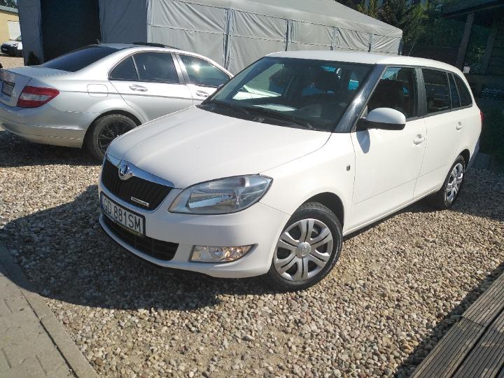 SKODA FABIA 2014 tmbjk25j0f3008263