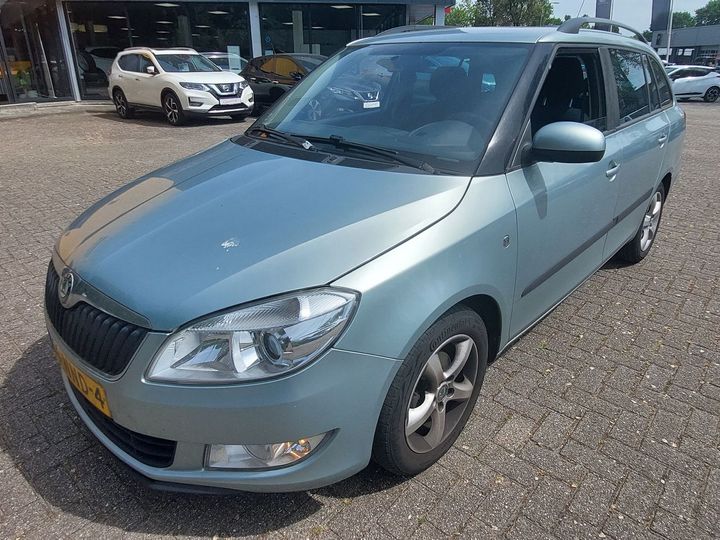 SKODA FABIA 2010 tmbjk25j5b3085138