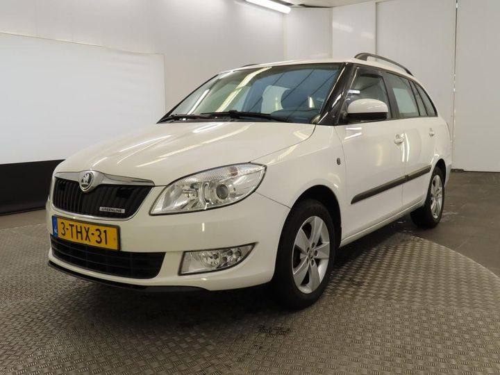 SKODA FABIA 2014 tmbjk25j6e3096962