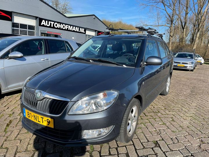 SKODA FABIA 2010 tmbjk25j7b3082211