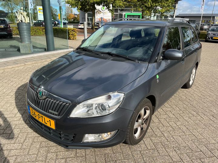 SKODA FABIA 2011 tmbjk65jxb3172637