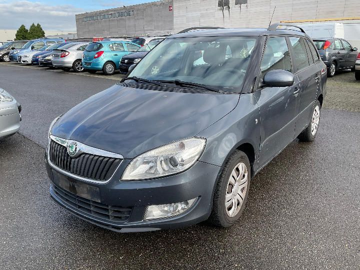 SKODA FABIA 2010 tmbjm25j7b3077004