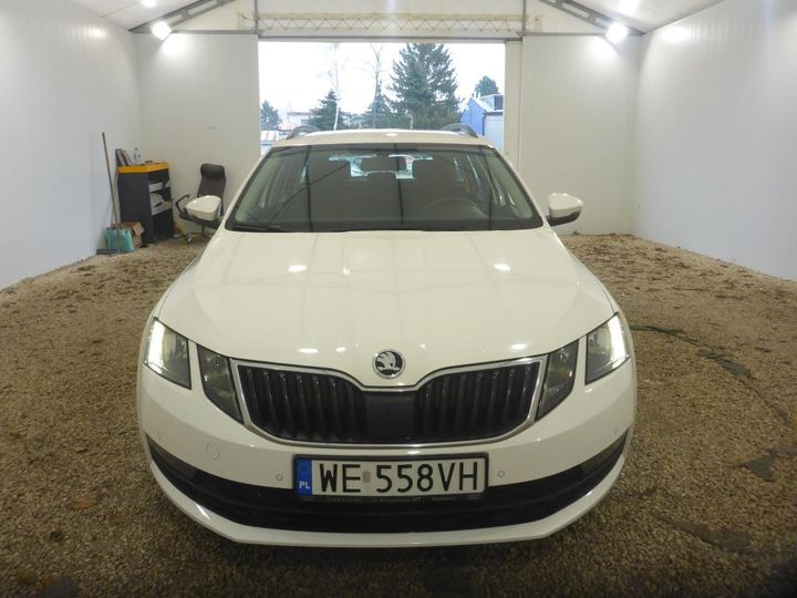 SKODA OCTAVIA 2019 tmbjp7ne5k0116276